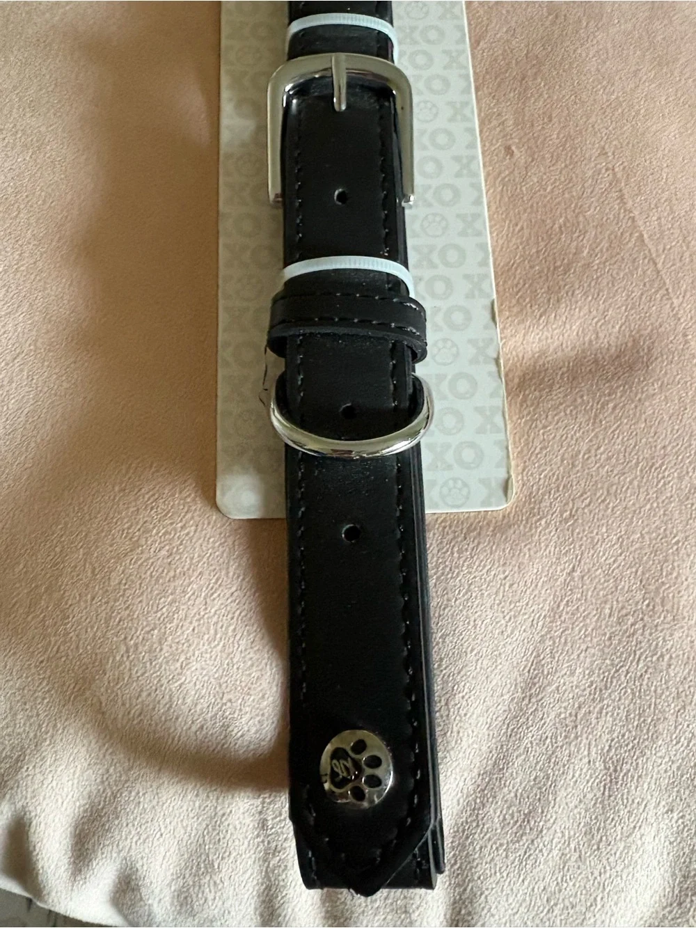 Signature Black Dog Collar with Silver Paw Accent